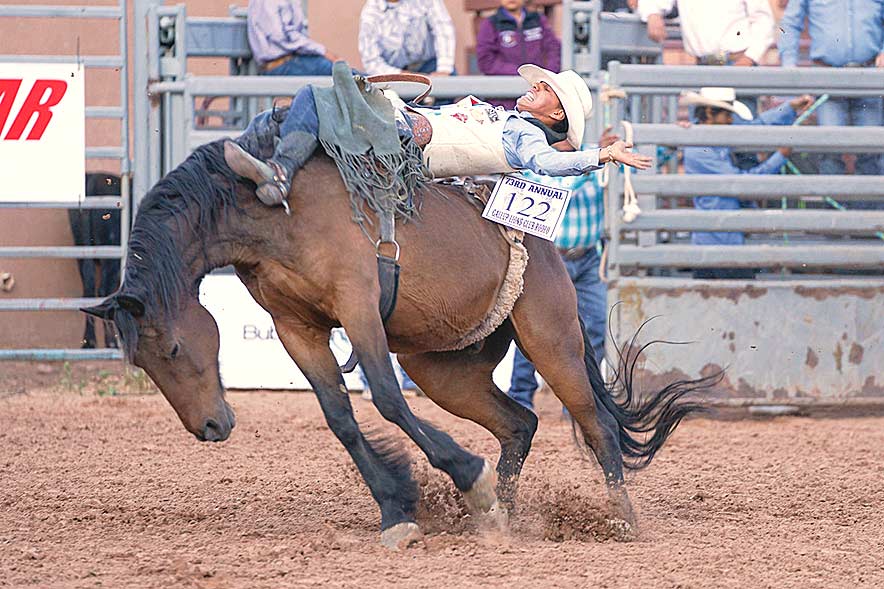 Jodie adds Lions Club rodeo to her list of 2023 winners