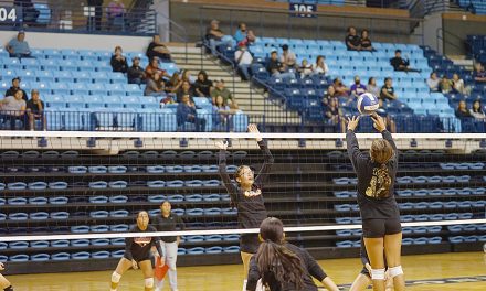 Lady Wildcats look to pick up where they left off last year