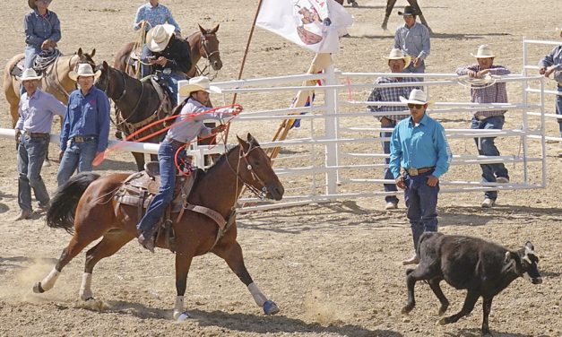 Off and running: New rodeo coordinator makes improvements to Northern Navajo Fair