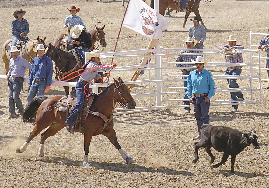 Off and running: New rodeo coordinator makes improvements to Northern Navajo Fair