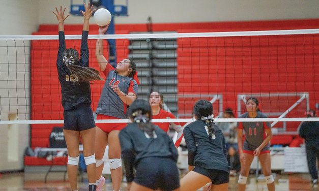 3A North volleyball tournament starts today, Top seed MV gets first-round bye