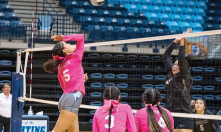 AIA, NMAA release state brackets