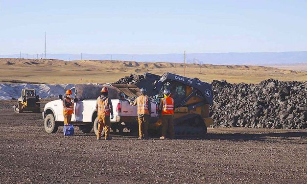 NTEC reports record dividend but declines to disclose executive pay