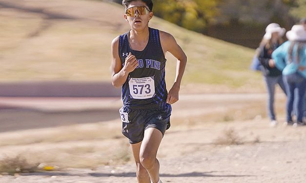 Navajo Pine, Rehoboth Christian harriers improve PRs at state meet