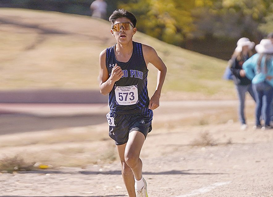 Navajo Pine, Rehoboth Christian harriers improve PRs at state meet