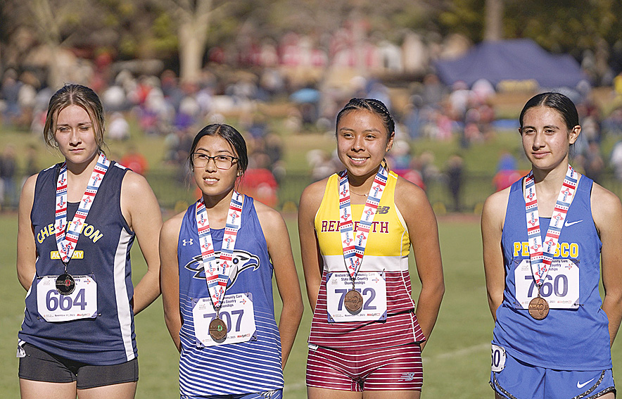Navajo Pine, Rehoboth Christian harriers improve PRs at state meet