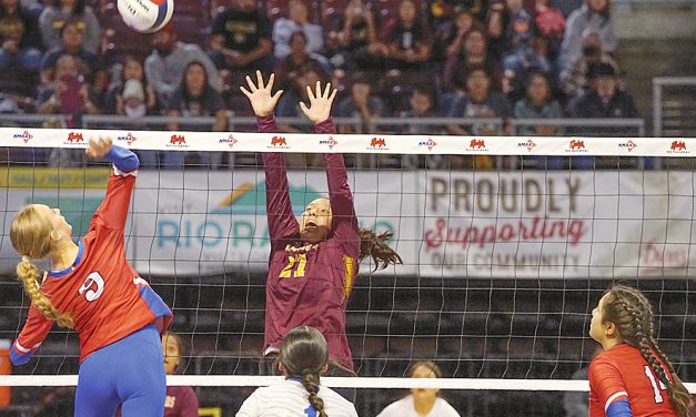 Lady Cougars come up one game short of making 3A semis