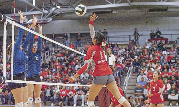 Lady Mustangs fall in state volleyball semis