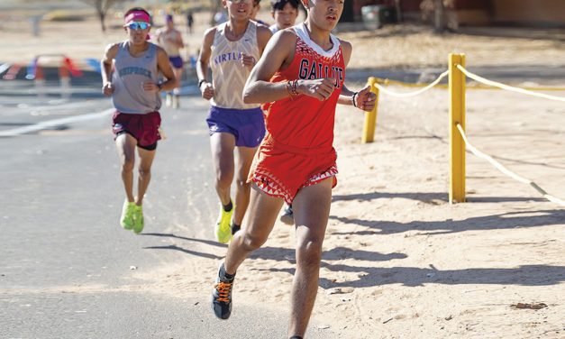 Future looks bright: Gallup Bengals claim team titles at district championships