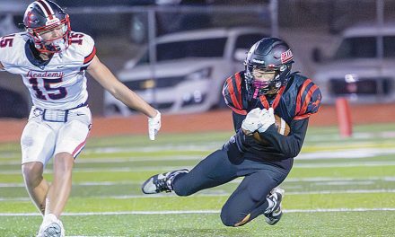 N.M. football roundup: Scorpions, Tigers advance in state playoffs