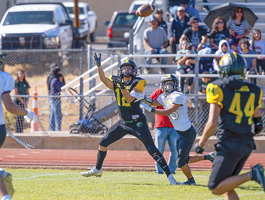 N.M. football roundup: Scorpions, Tigers advance in state playoffs