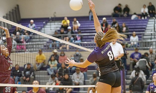NMAA releases state volleyball brackets, Nine area squads earn bids