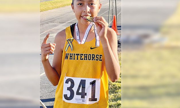 Five area harriers tabbed ROY