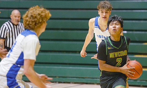 Boone takes over Newcomb hoops program