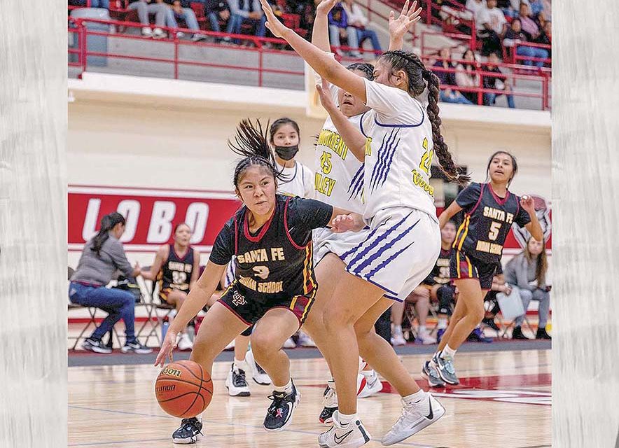 SENAI crowns tourney champs: MV Lady Cougars win large school division