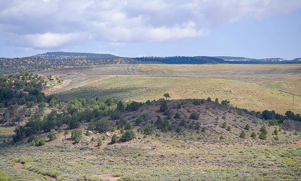 FERC rejects hydro project permits amid opposition: Part I