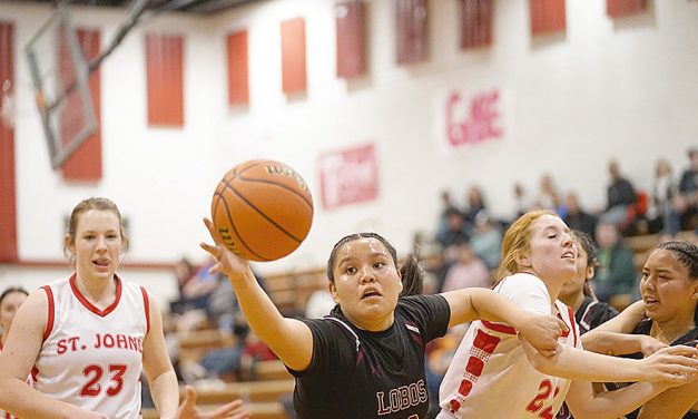 Many Farms girls earn state playoff bid