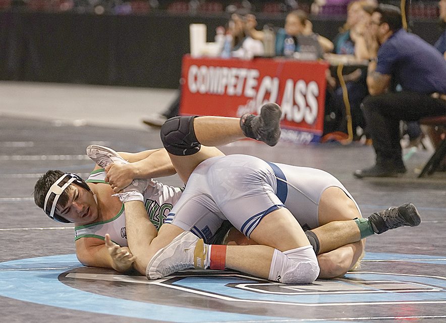 Farmington grappler comes up short in 215 finals: Lady Scorps take third