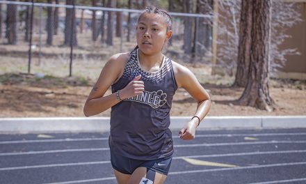 Area athletes looking for podium appearance at division meet