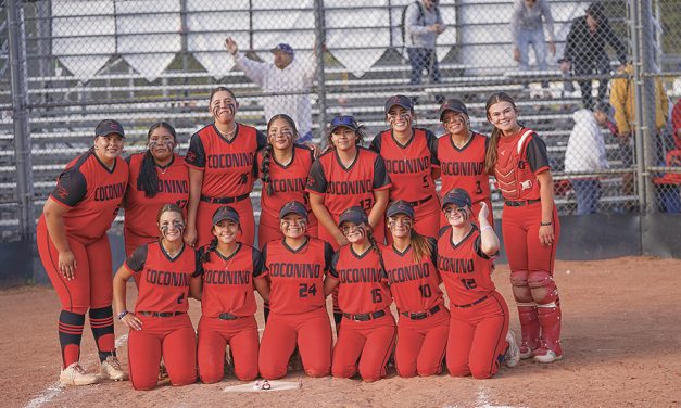 AIA 4A playoffs: Top seed Eastmark rallies past Coconino