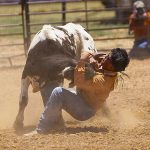 A good turnout: Memorial jackpot bulldogging attracts top pro steer wrestlers