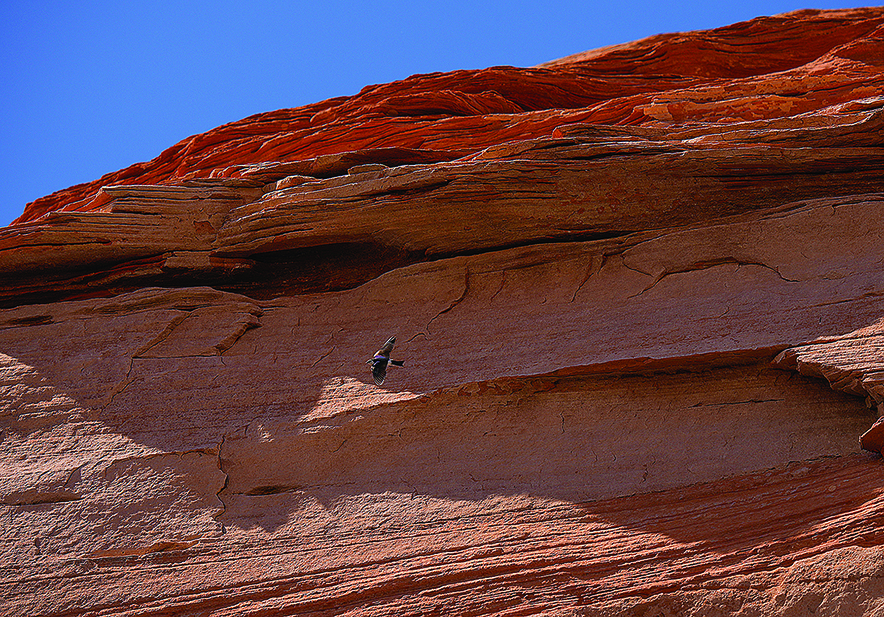 Bits’íís Nineez tests 99-year-old matriarch’s resilience: Pearl Begay: Bilagáana believe water belongs to them