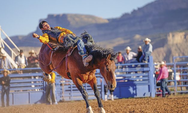 Youngsters bring the heat in final performance at annual Kayenta rodeo