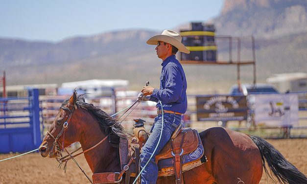 Young team roping duo making headways in PRCA ranks