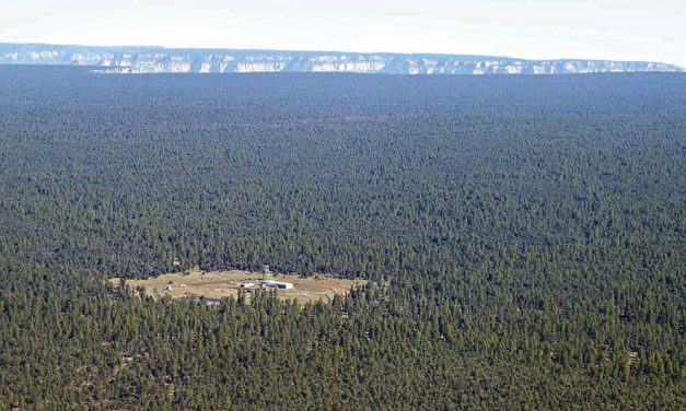 Water data from Pinyon Plain Mine shows spike in heavy metals