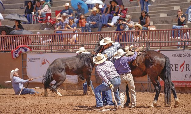 Randy Stewart Team captures wild horse racing crown at Ceremonial