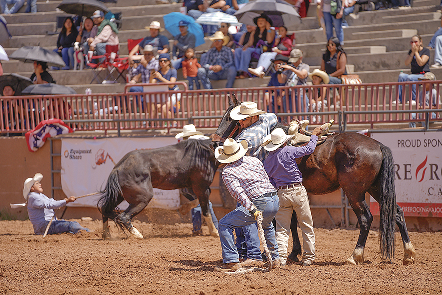 Randy Stewart Team captures wild horse racing crown at Ceremonial