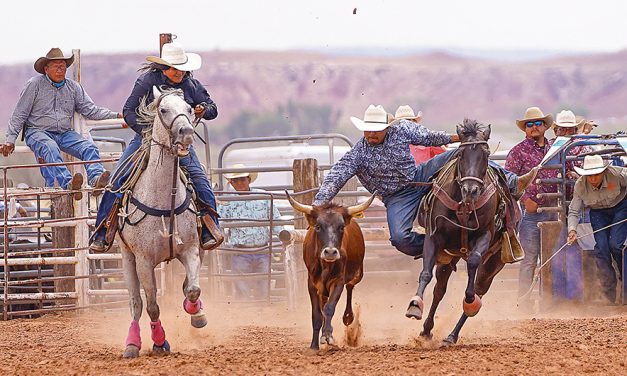 Momentum carries over for Crownpoint cowboy