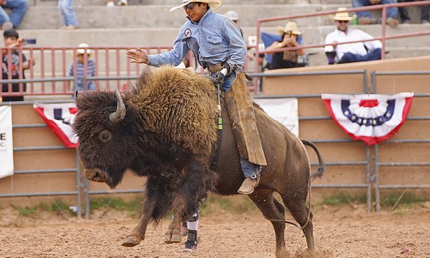 Ceremonial Rodeo to start on Thursday: 17 events featured in Sunday’s exciting final performance