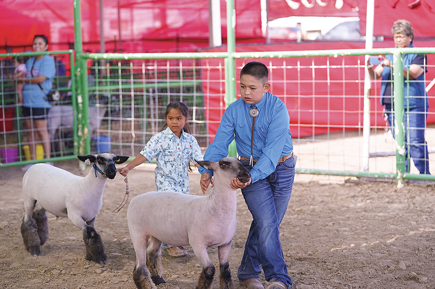 Family affair: Sanders siblings win showmanship awards