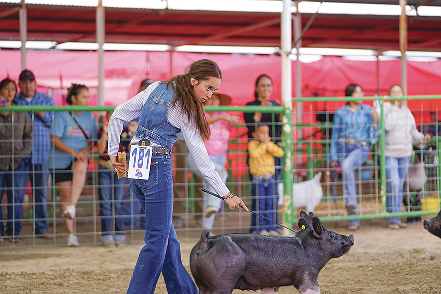 Family affair: Sanders siblings win showmanship awards