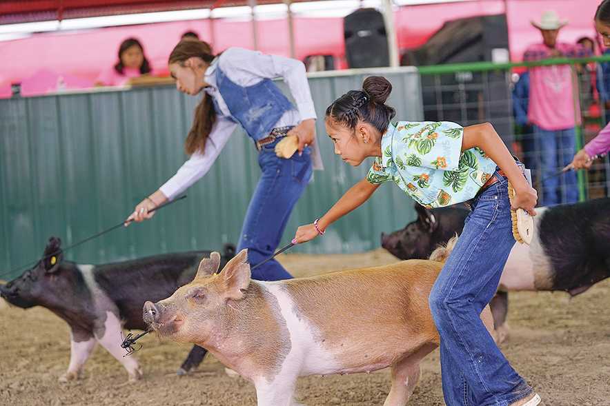 Family affair: Sanders siblings win showmanship awards