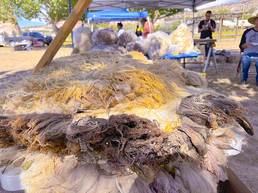 ‘We can’t lose it’: 28th Annual Sheep is Life highlights the importance of sheep