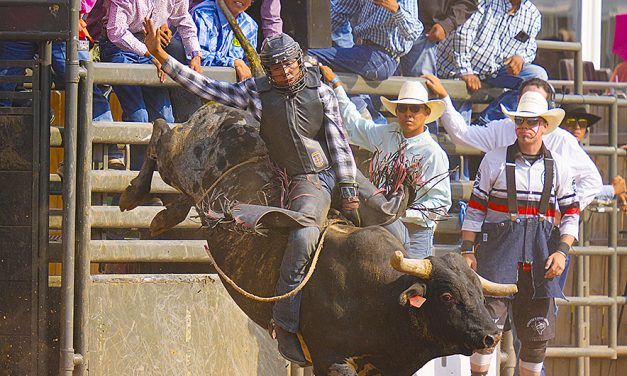 Navajo Nation Fair: Young guns take center stage at tribal fair