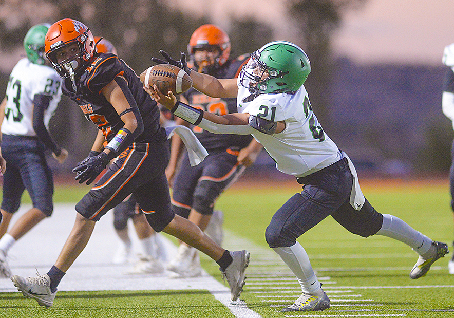 Skyhawks secure victory over Bengals