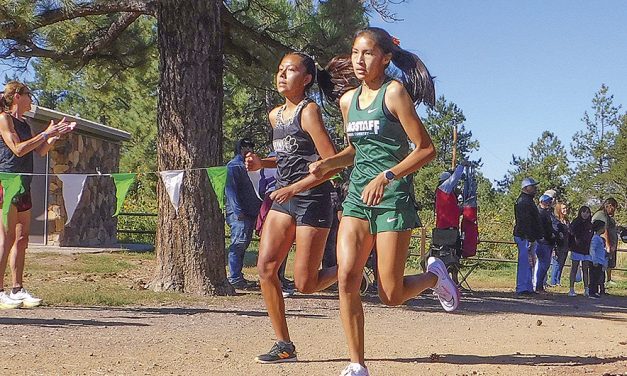 Flagstaff High sweeps team, individual titles at home meet