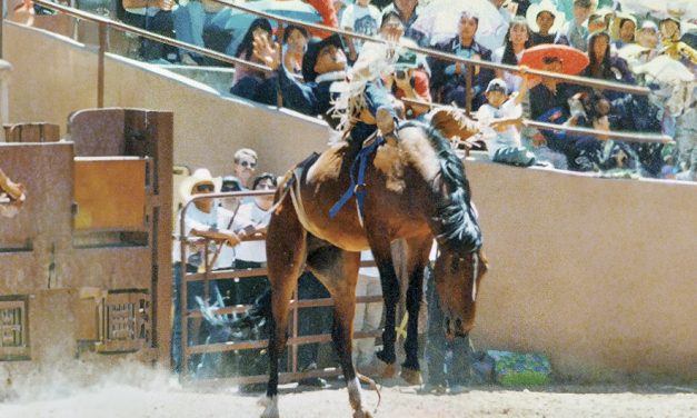 ‘Never give up’: Cancer awareness rodeo brings hope and opportunity to the rough stock