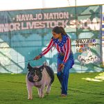 Colorado Diné ends 4-H term with Grand Champion Steer