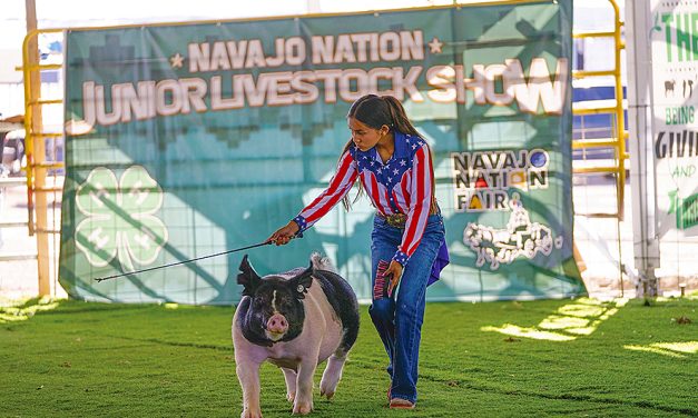 Colorado Diné ends 4-H term with Grand Champion Steer