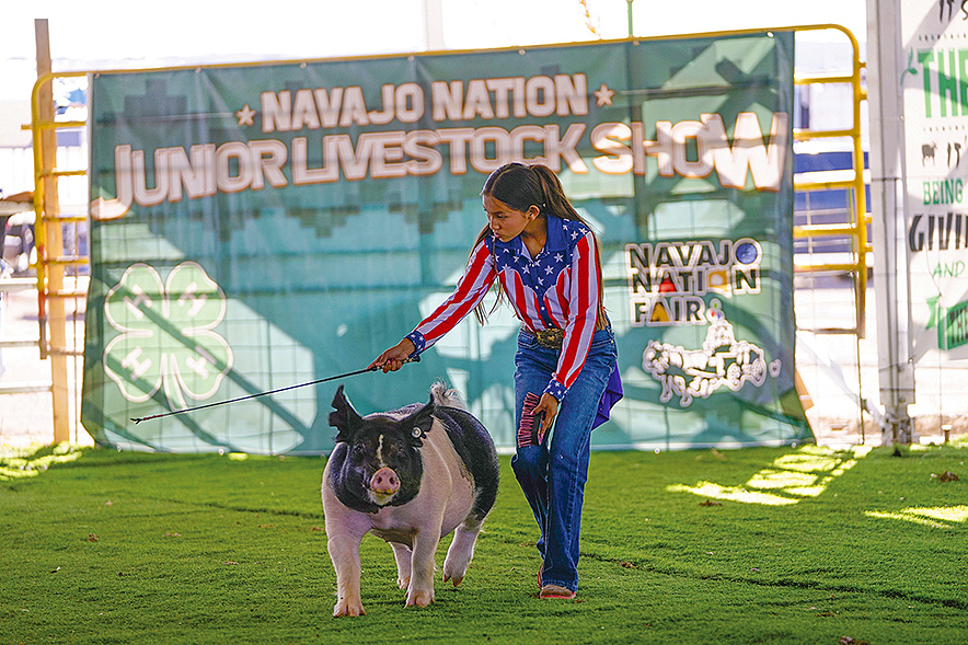 Colorado Diné ends 4-H term with Grand Champion Steer