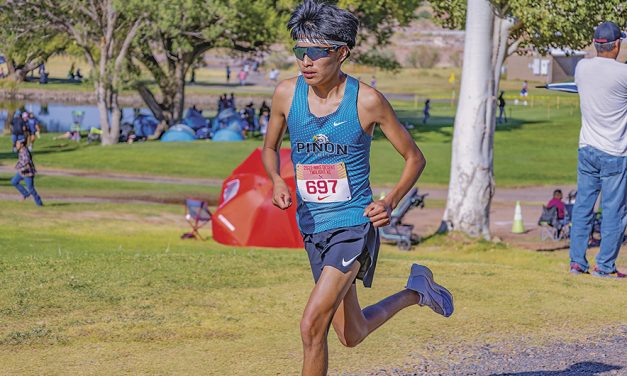 Area runners gearing up for Sectional meet