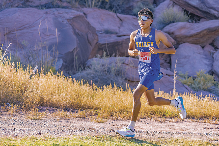 Area runners gearing up for Sectional meet