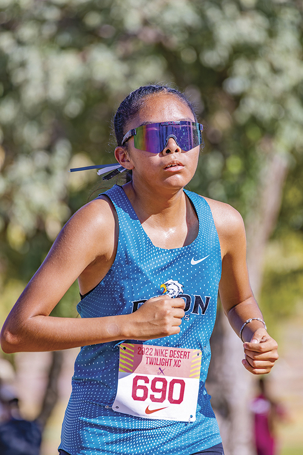 Area runners gearing up for Sectional meet