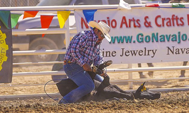 Northern Navajo Fair rodeo expected to draw more contestants