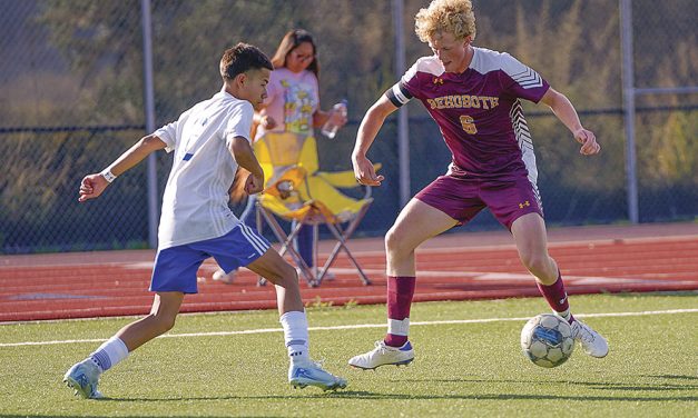 NMAA releases state soccer brackets