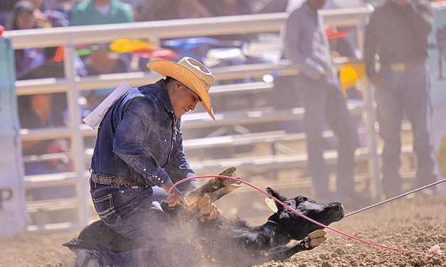 Northern Navajo Fair: Pablo, Nahkai rope all-around titles